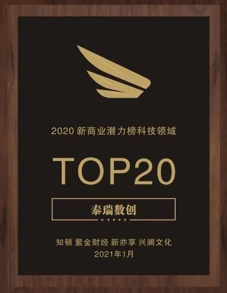 泰瑞数创荣获知顿主办“新商业科技领域TOP20”