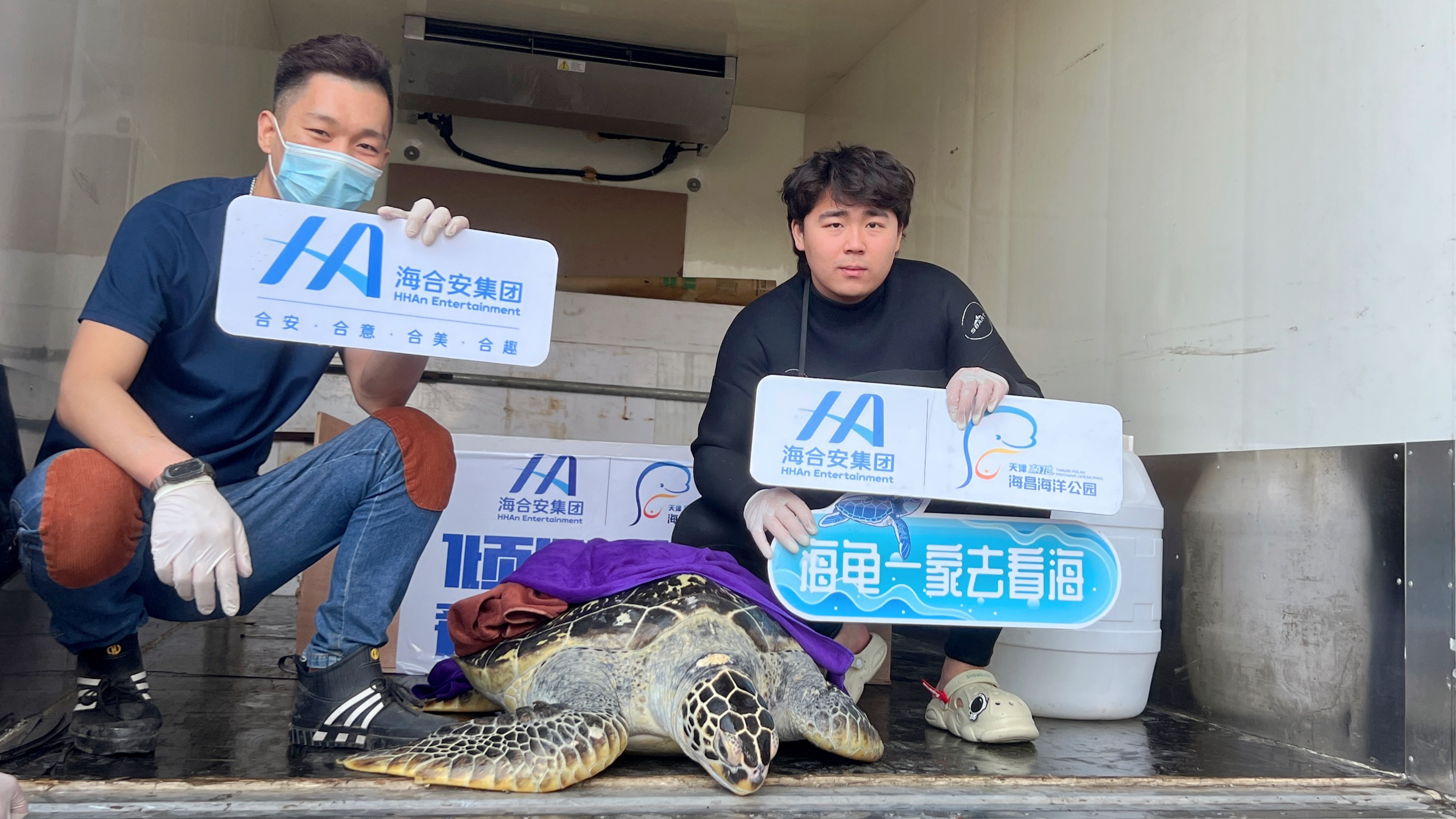 倾心守护，爱伴归途——天津海昌极地海洋公园助力世界海龟日主题宣传活动